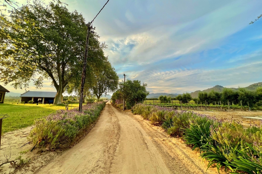 0 Bedroom Property for Sale in Franschhoek Rural Western Cape